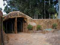 The_Gem_African_Dawn