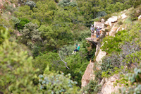 The_Gem_Ferienhaus_Sued_Afrika_CanopyTreeTour