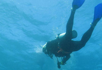 scuba diving