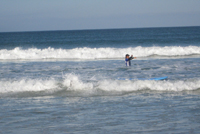 The_Gem_Ferienhaus_Suedafrika_Surfen1