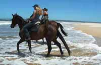 The_Gem_Jeffreys_Bay_Reiten